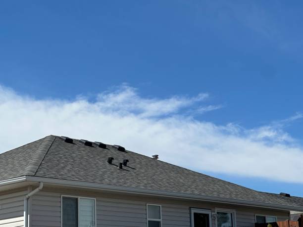 Best Green or Eco-Friendly Roofing Solutions  in Stroudsburg, PA